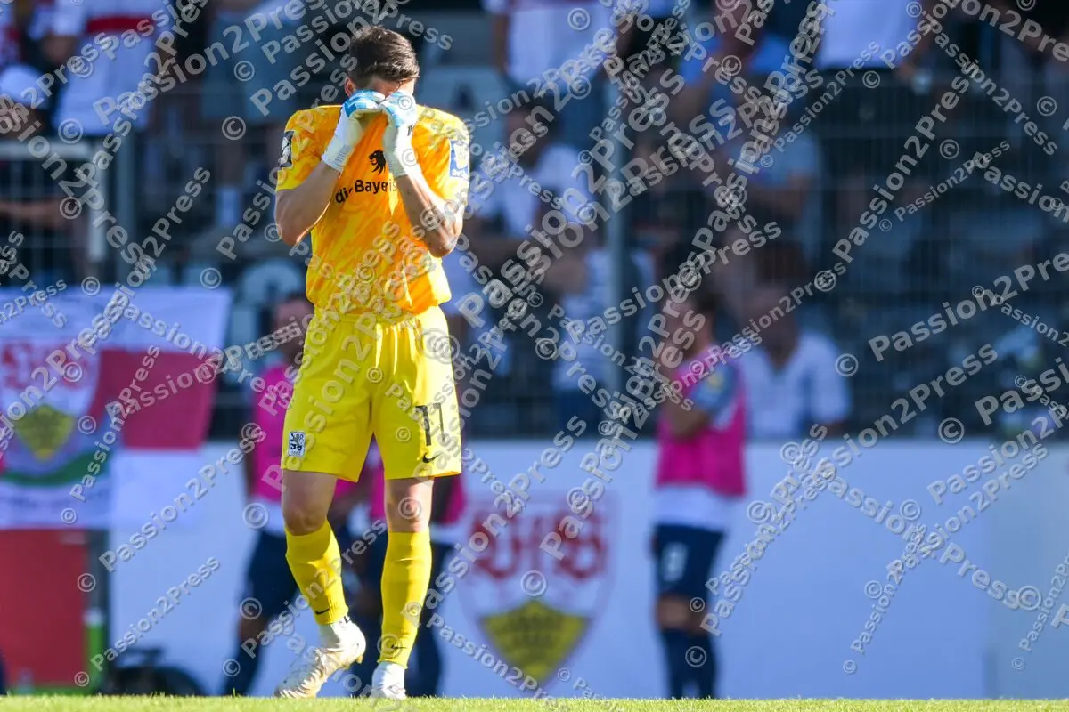 VFBIIM60_20240811_0820