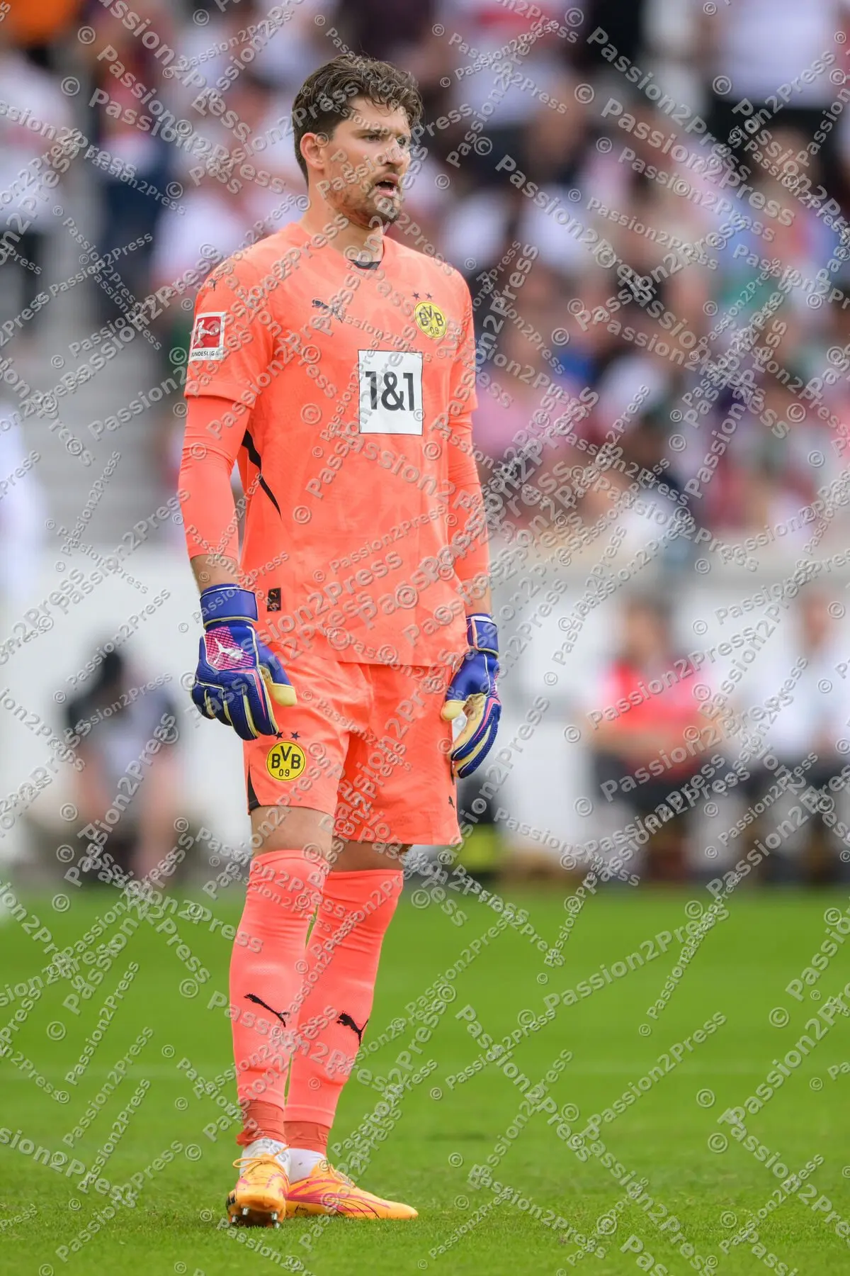 VFBBVB_20240922_0915