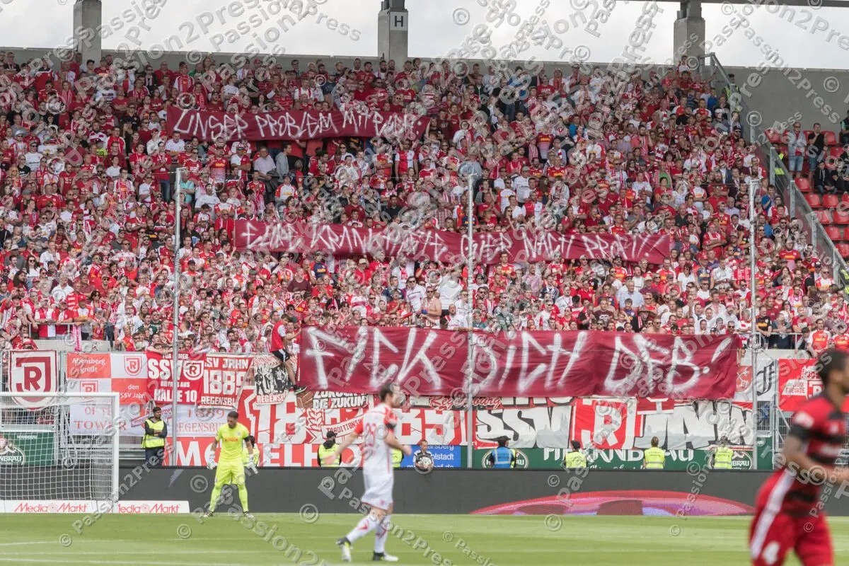 mf_FCIJR_20170820_0122