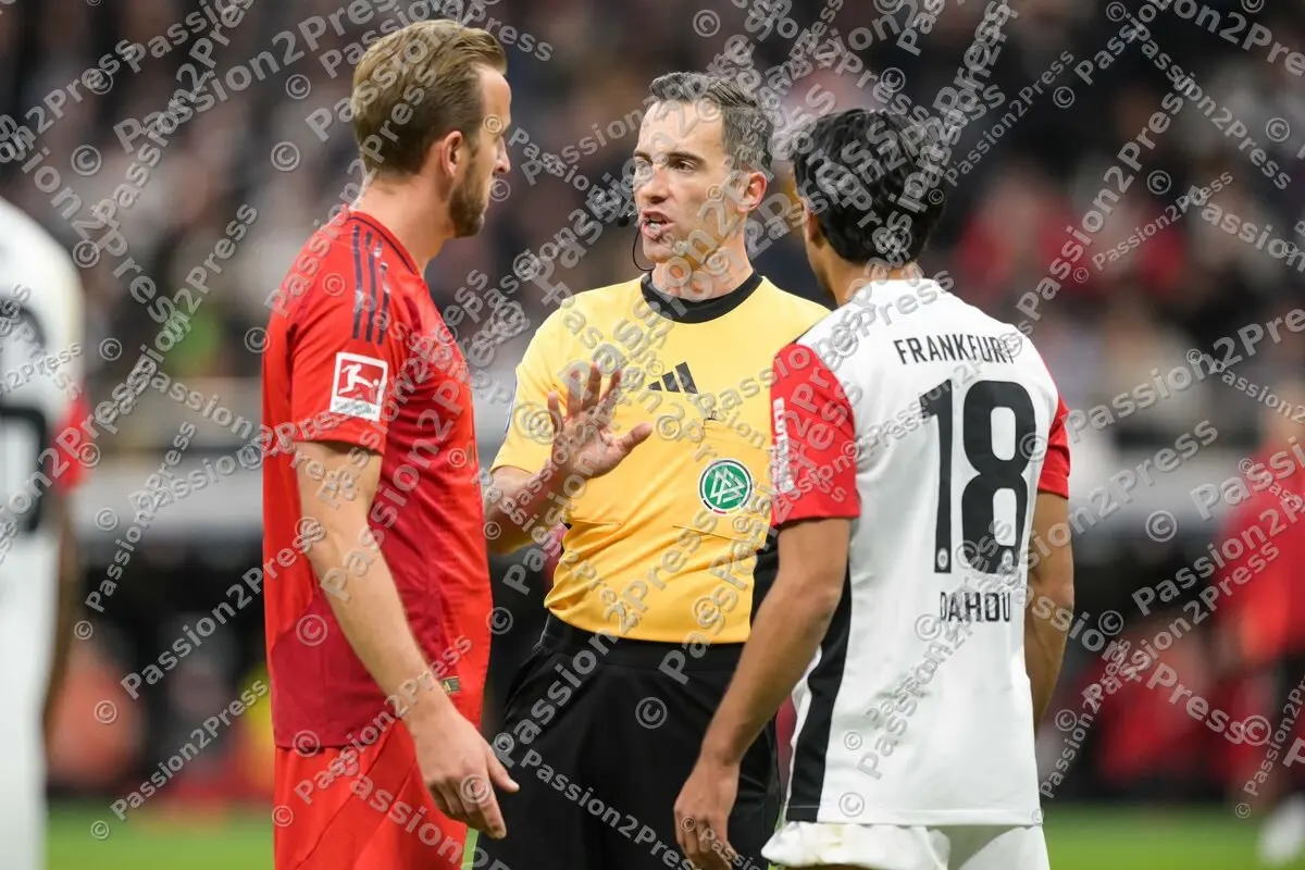 SGEFCB_20241006_2042