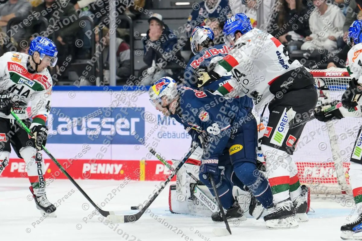 20241018 EHC Red Bull München - Augsburger Panther