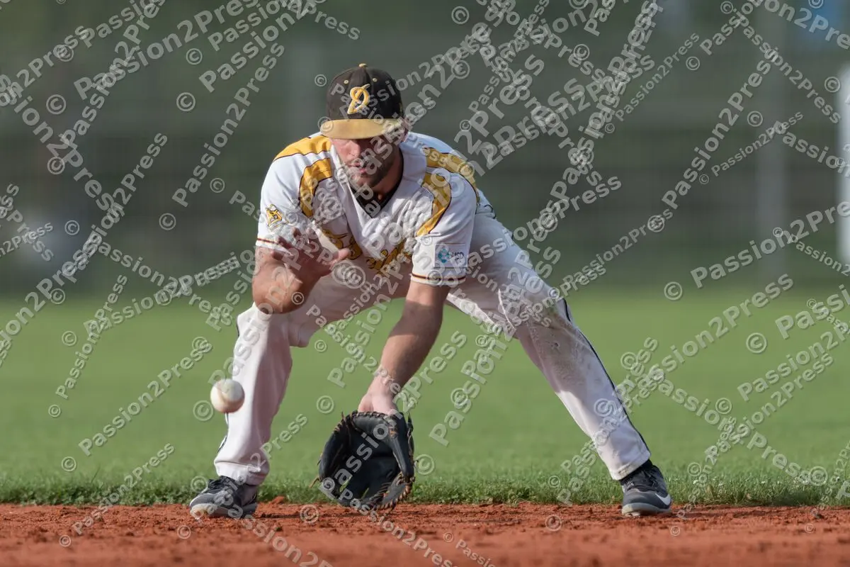 mf_MHDBC_20170826_0574