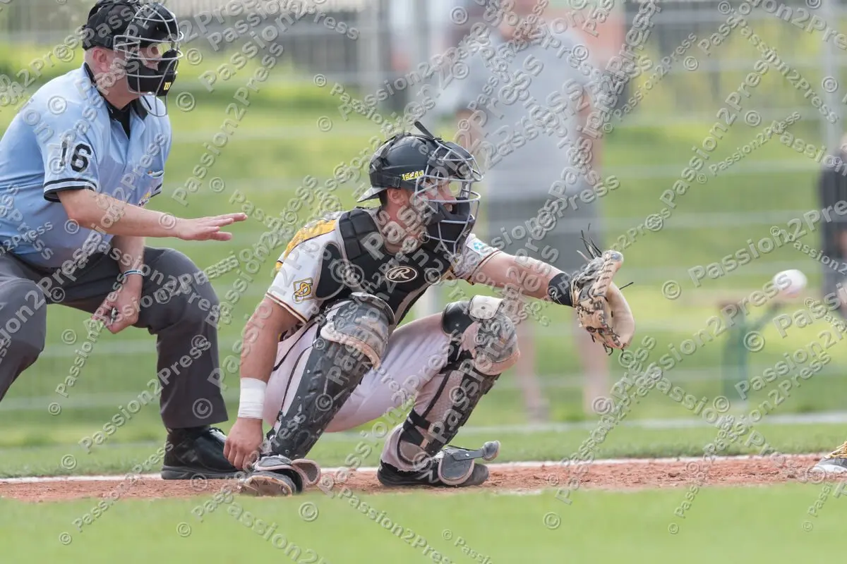 mf_MHDBC_20170826_0586