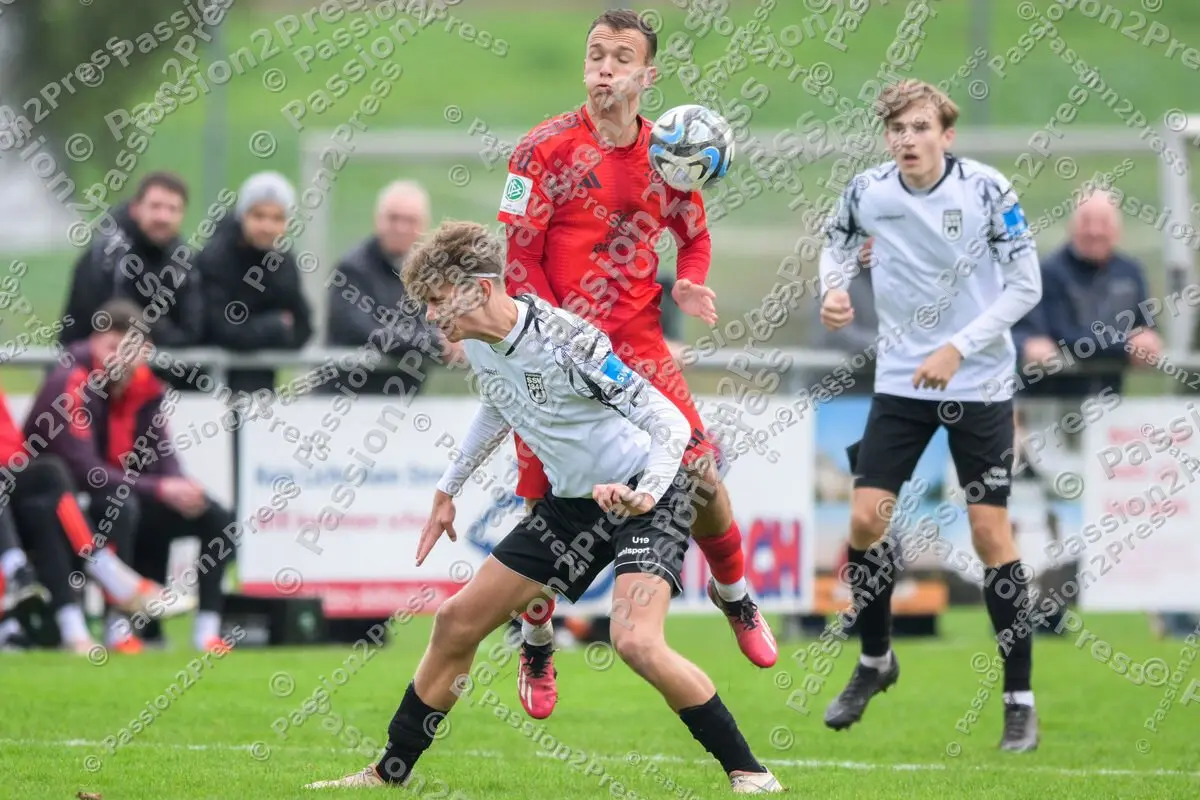 ULMFCBU19_20241027_0386