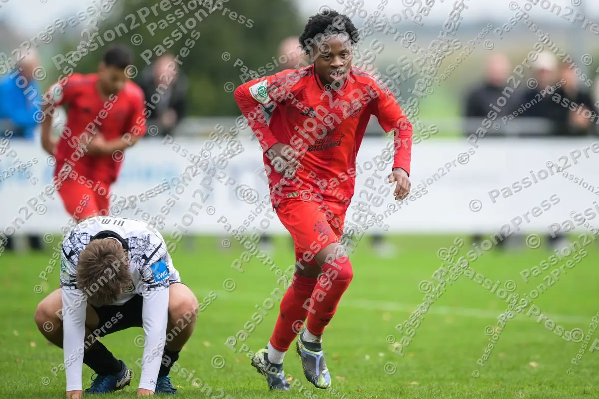 ULMFCBU19_20241027_0420