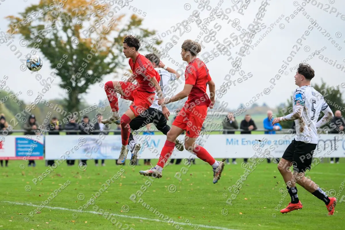 ULMFCBU19_20241027_0574