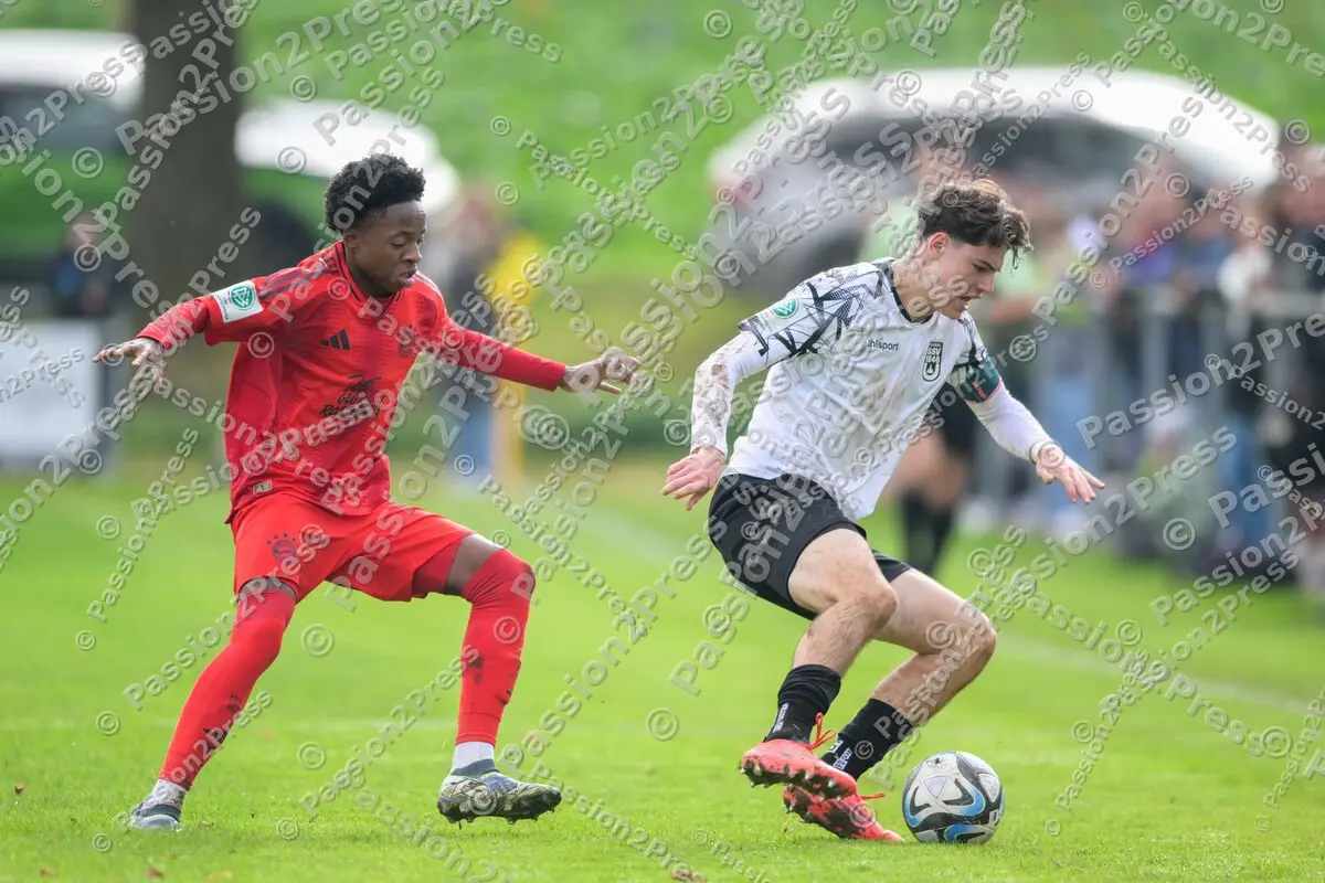 ULMFCBU19_20241027_0641