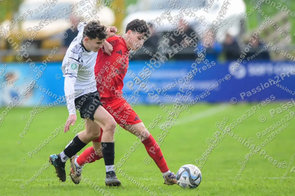 ULMFCBU19_20241027_0653