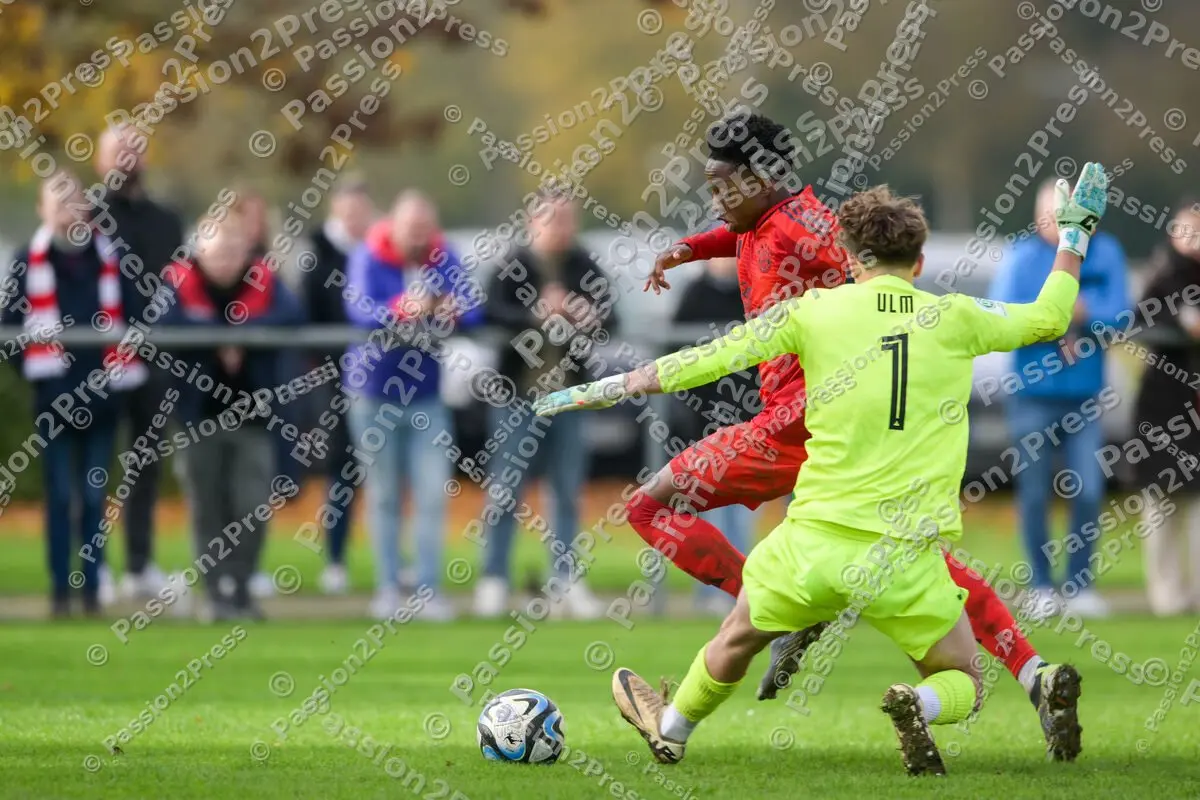 ULMFCBU19_20241027_1182