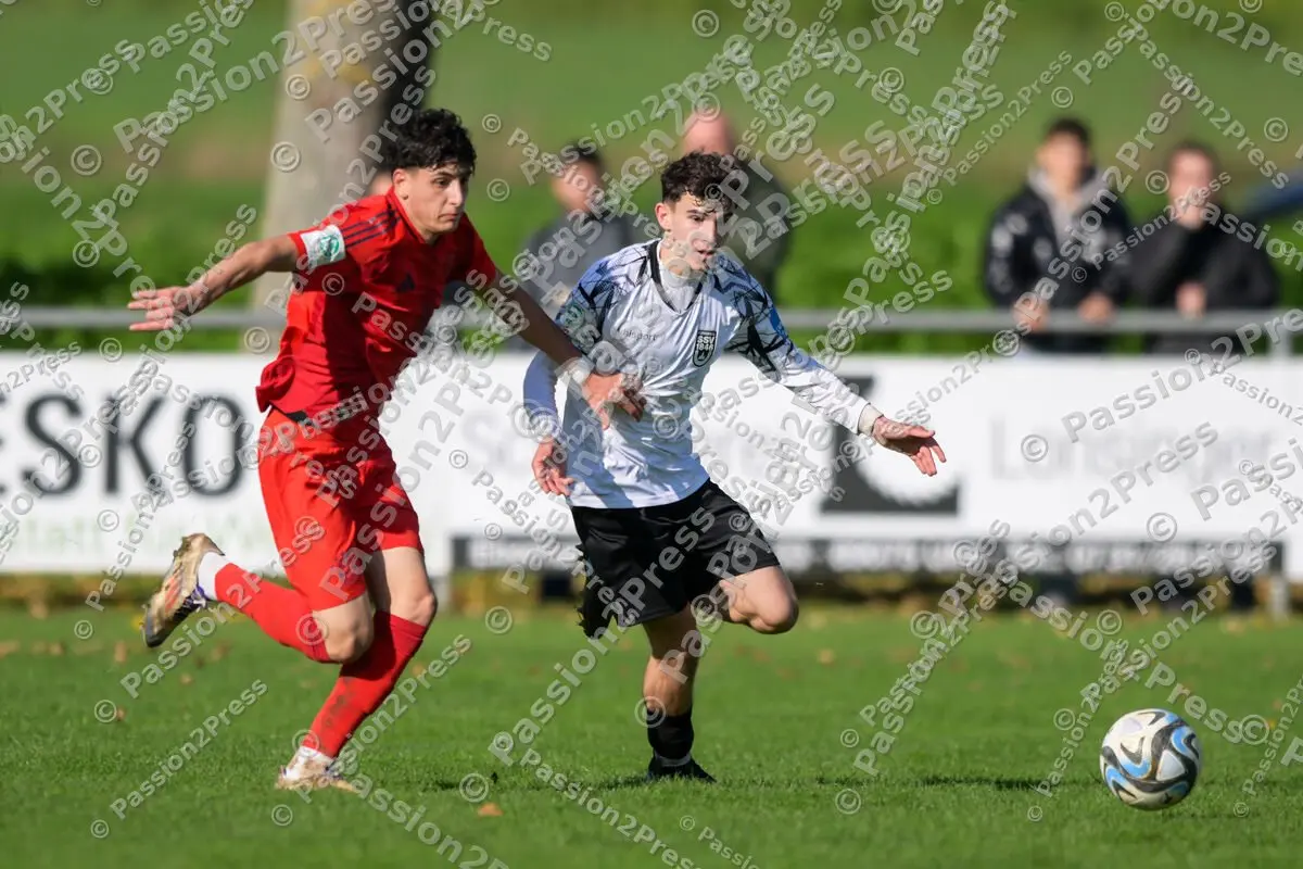 ULMFCBU19_20241027_1526