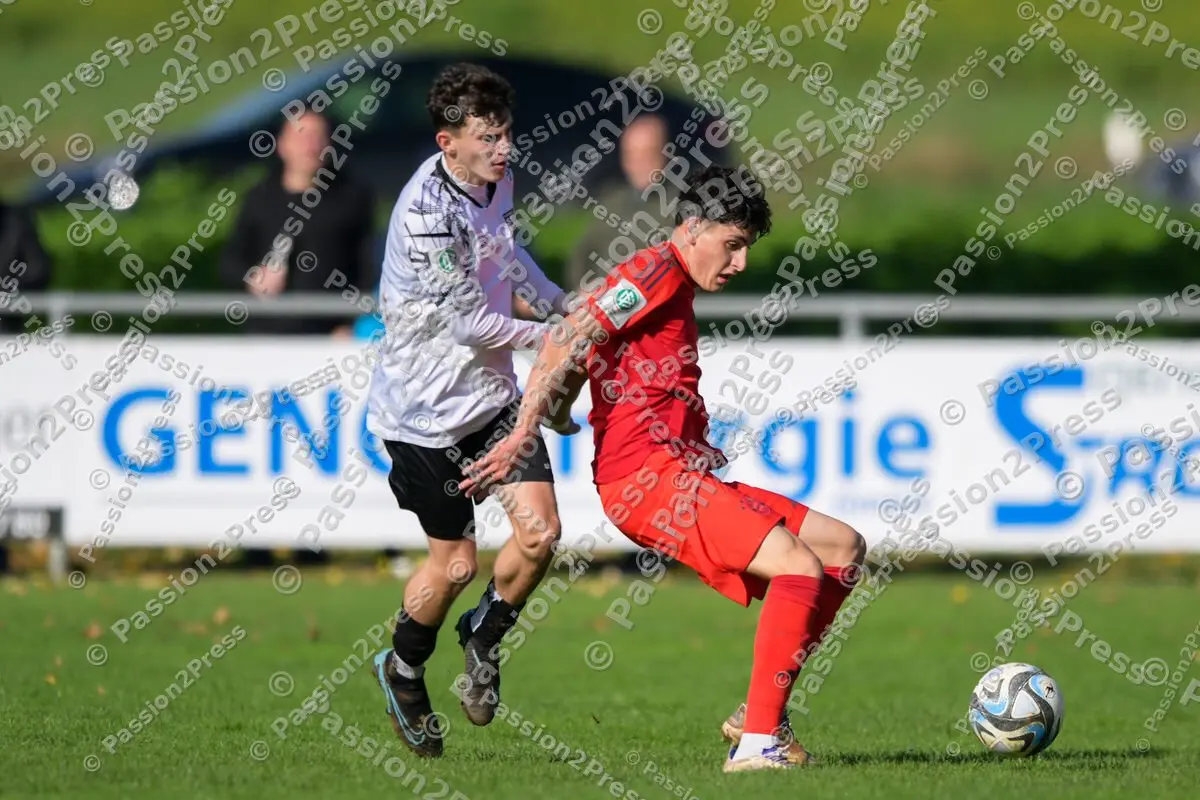 ULMFCBU19_20241027_1537