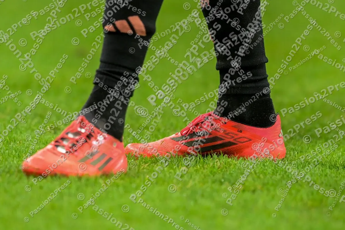 FSVFCB_20241030_2176