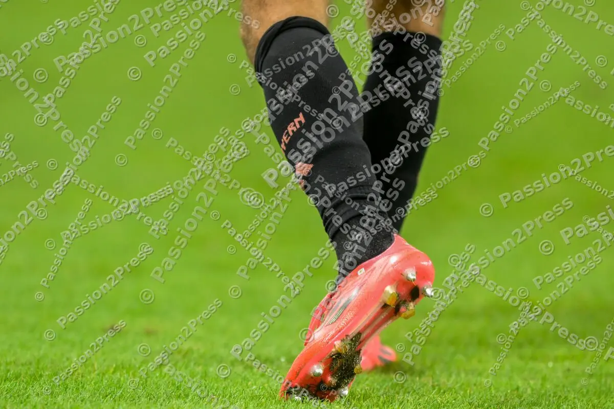 FSVFCB_20241030_2196