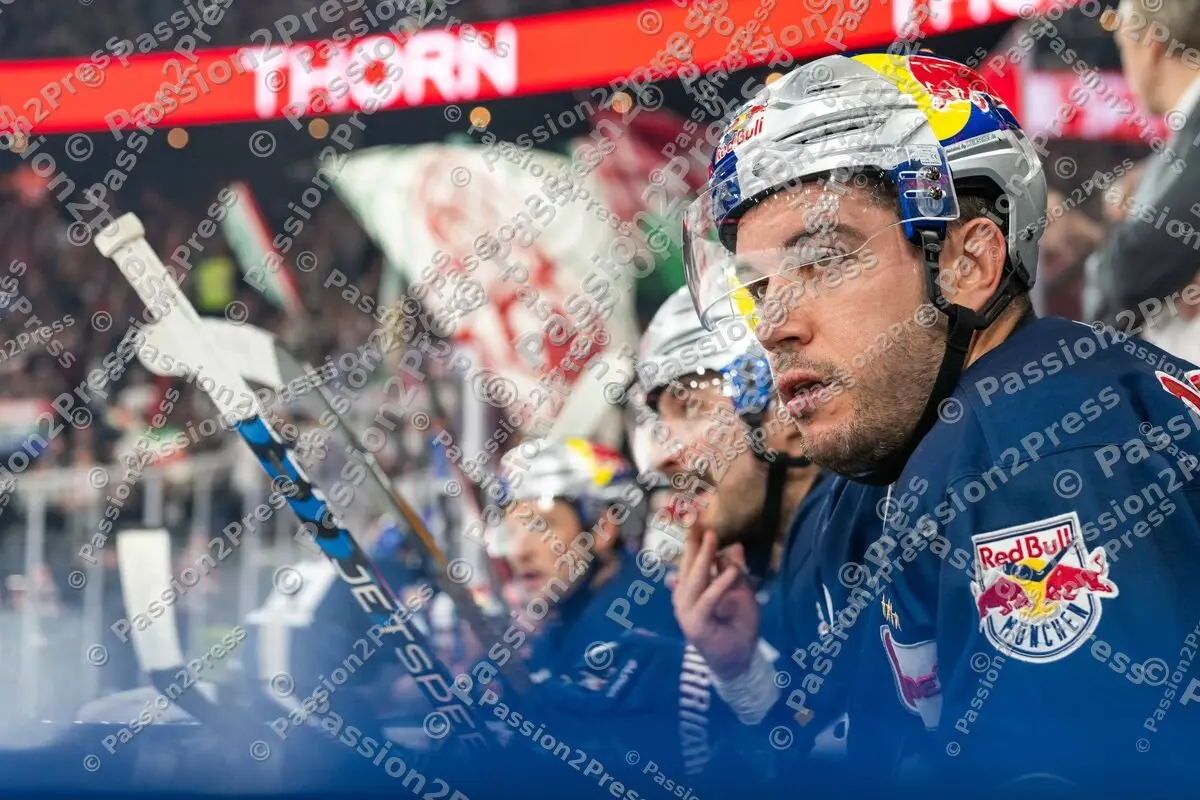 20241123 EHC Redbull München - Augsburger Panther