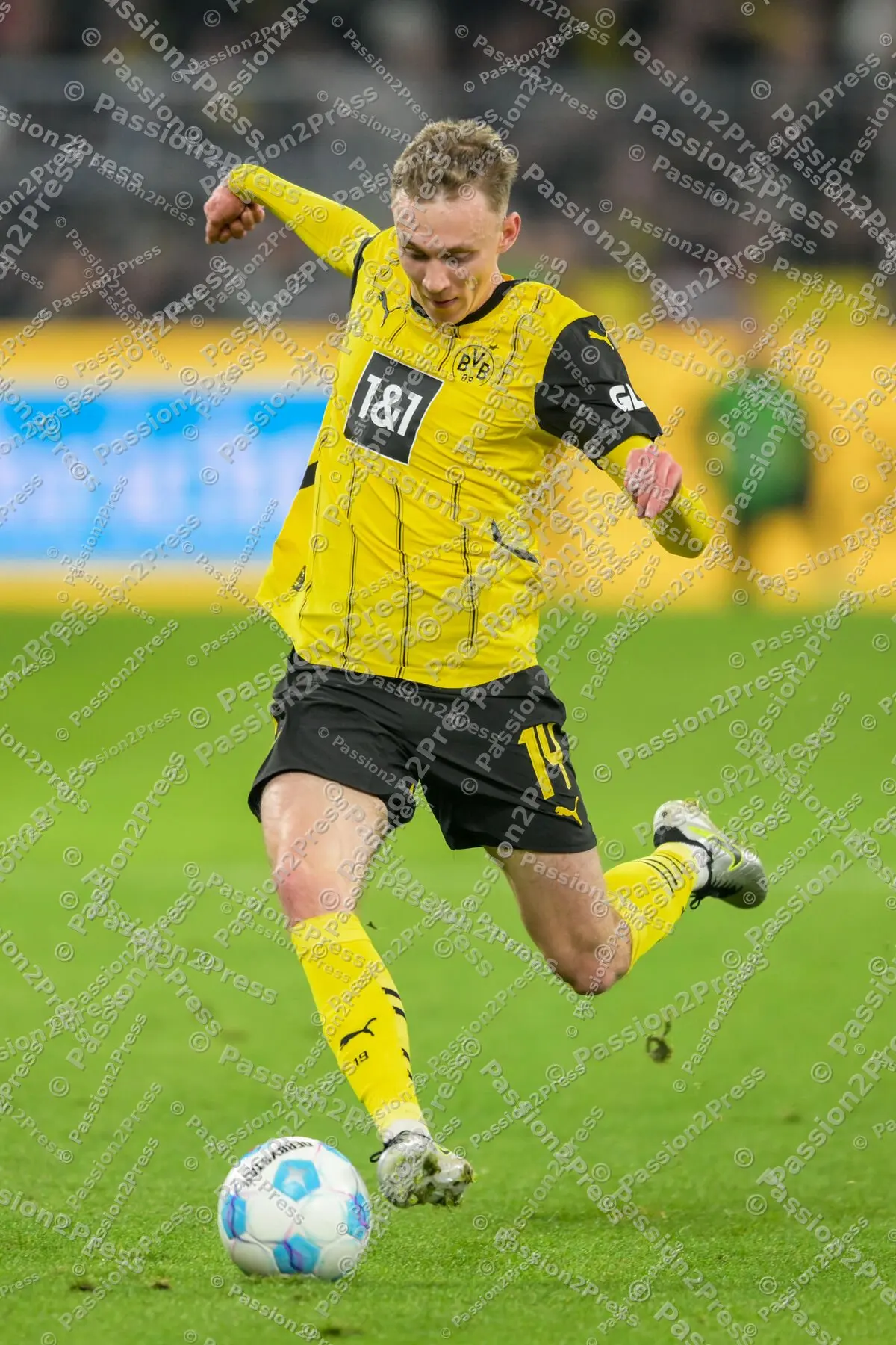 BVBFCB_20241130_1250