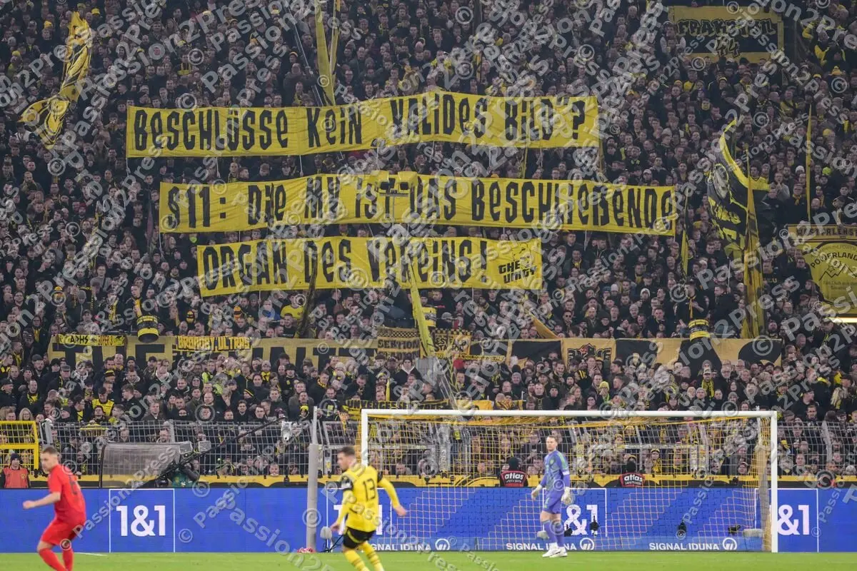 BVBFCB_20241130_1888