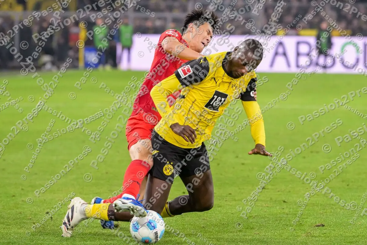 BVBFCB_20241130_2279