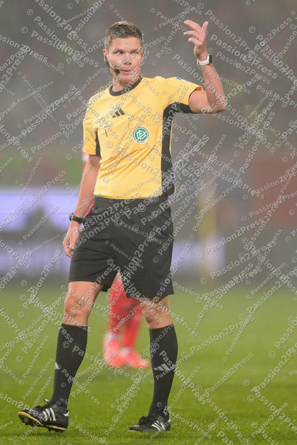 FCHSGE_20241201_1044