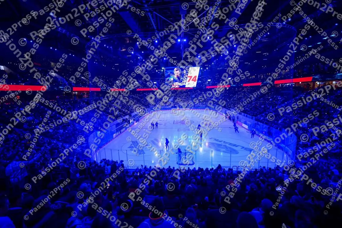 20250131 EHC Red Bull München - Pinguins Bremerhaven 