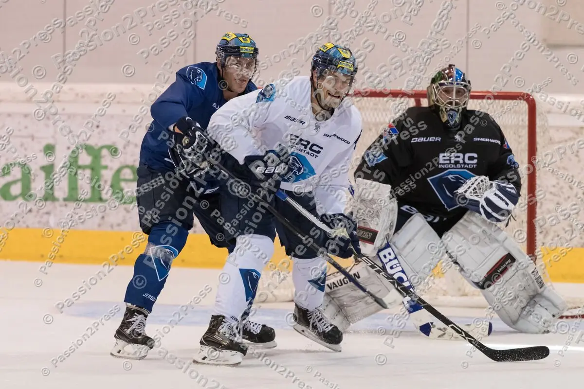 mf_ERCI_20170829_1066