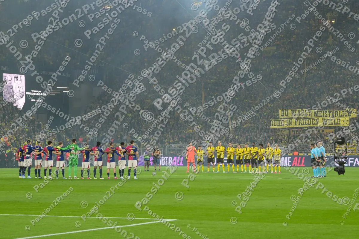 BVBFCB_20250415_1157