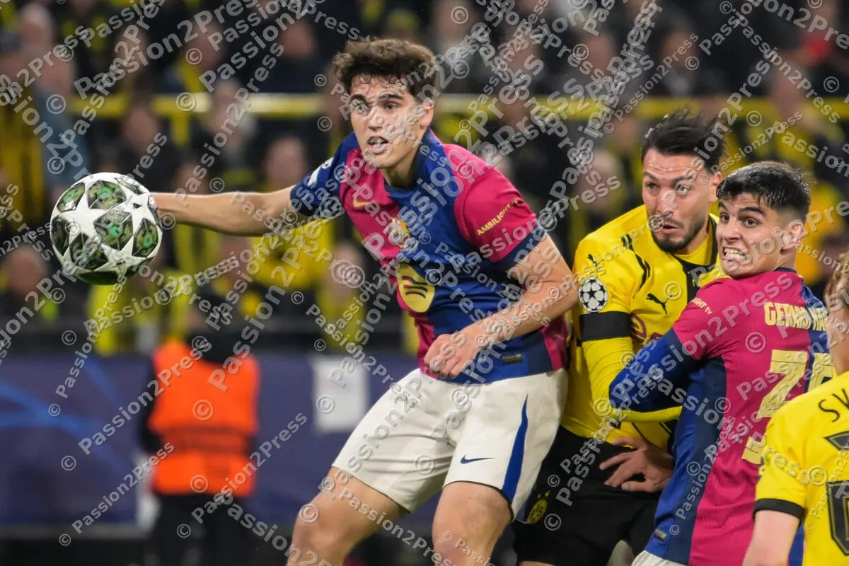 BVBFCB_20250415_1579