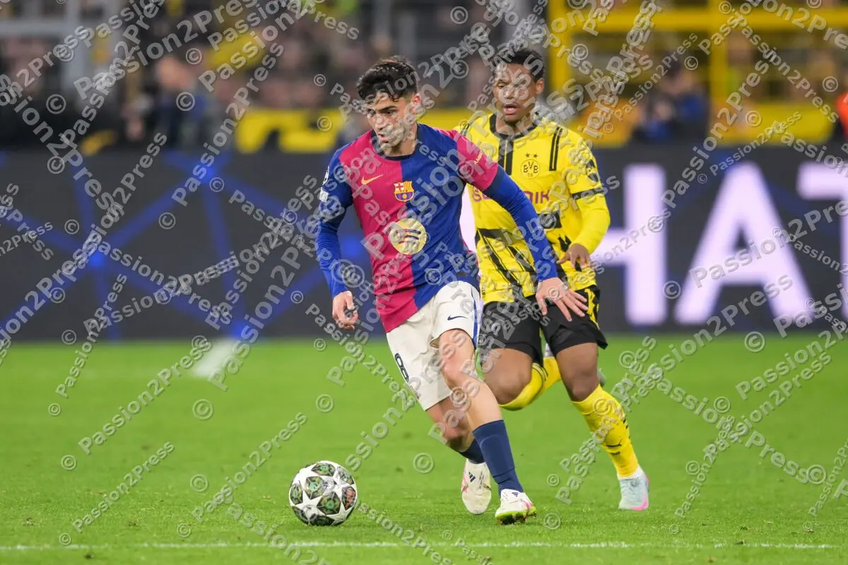 BVBFCB_20250415_2919