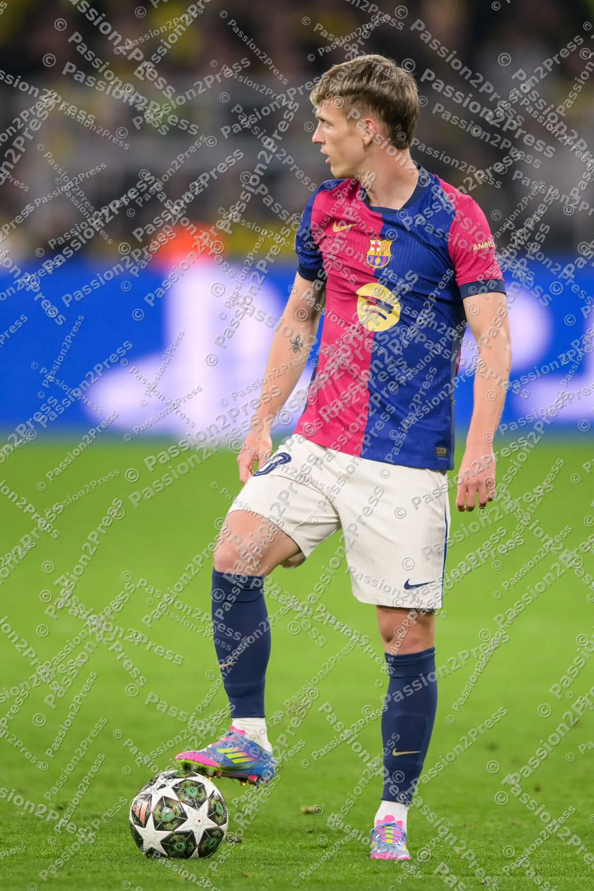 BVBFCB_20250415_3360