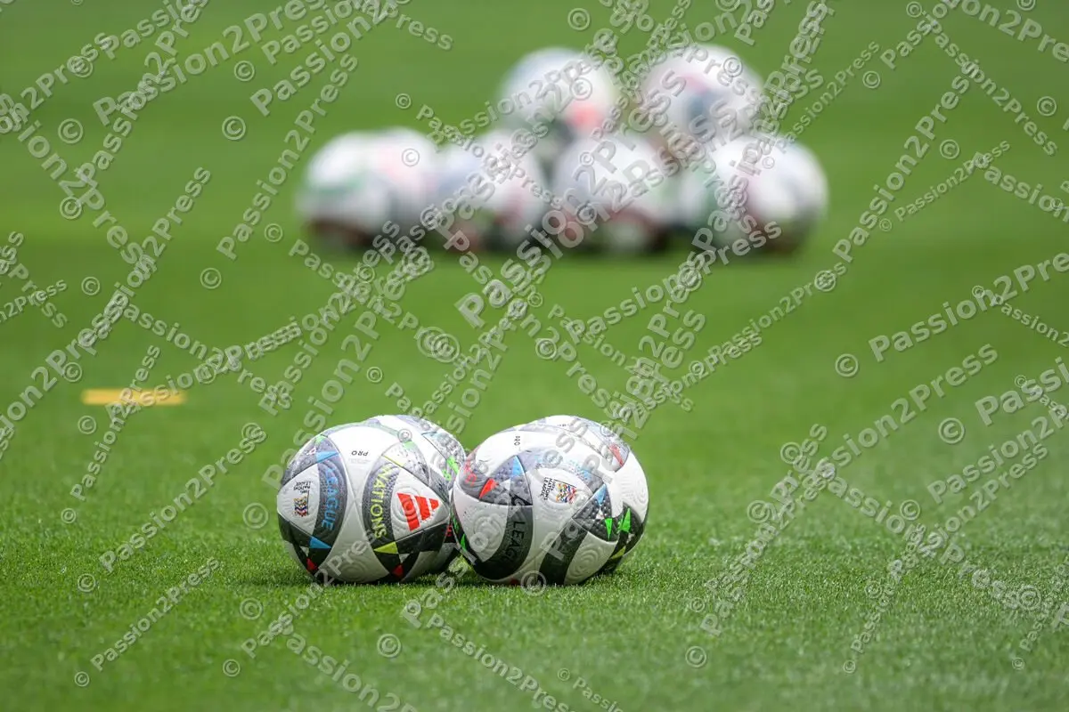 DFBFRA_20250608_0015