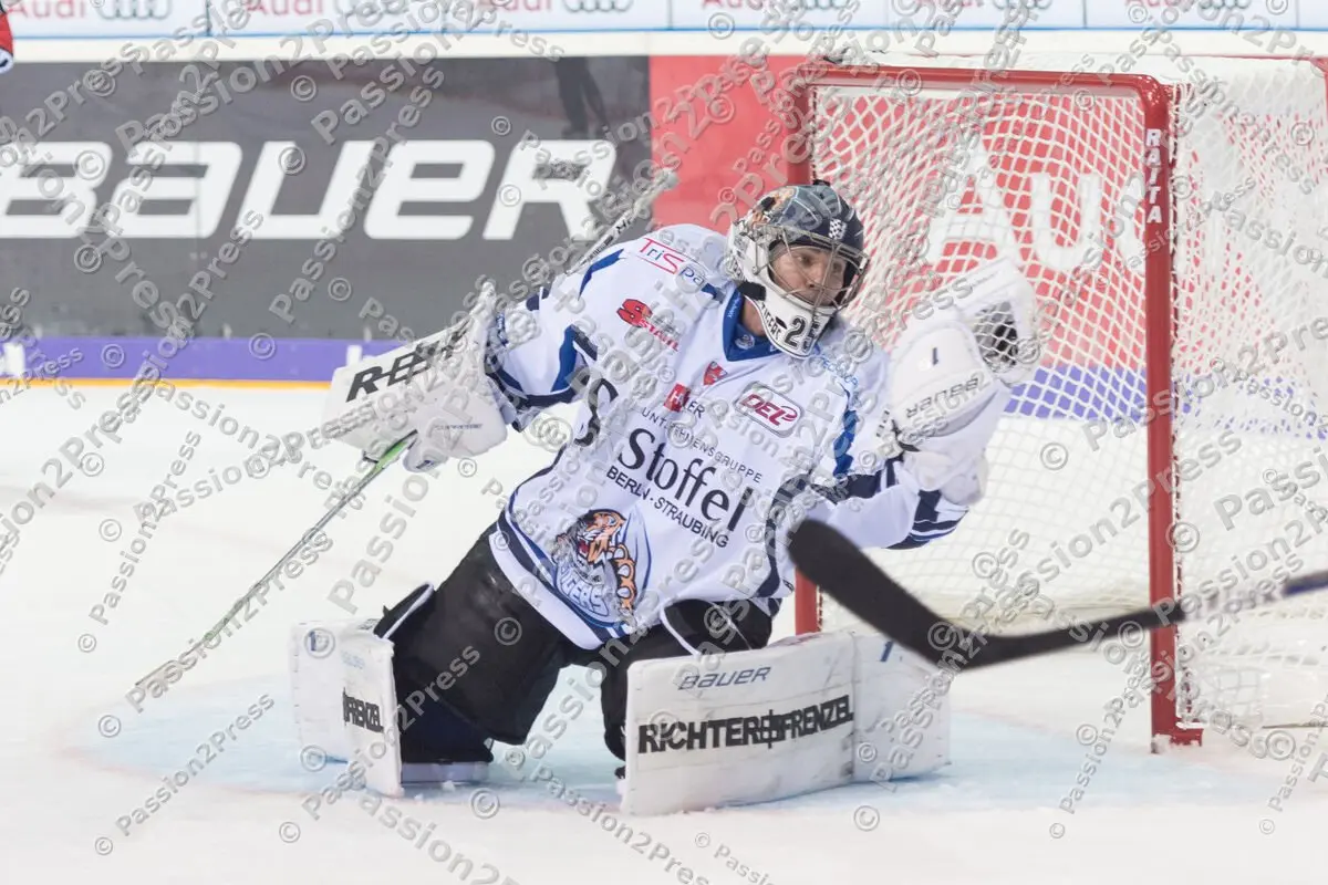 mf_ERCISR_20170908_1667