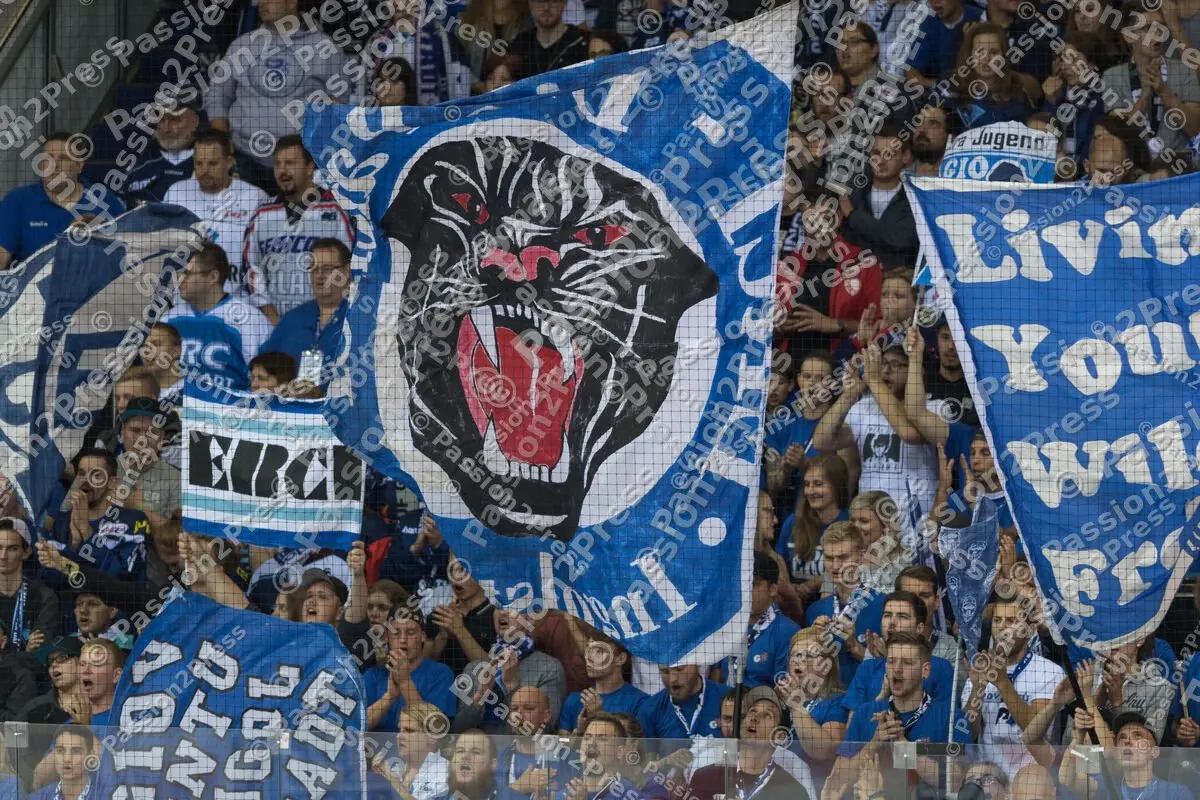 mf_ERCISR_20170908_1847