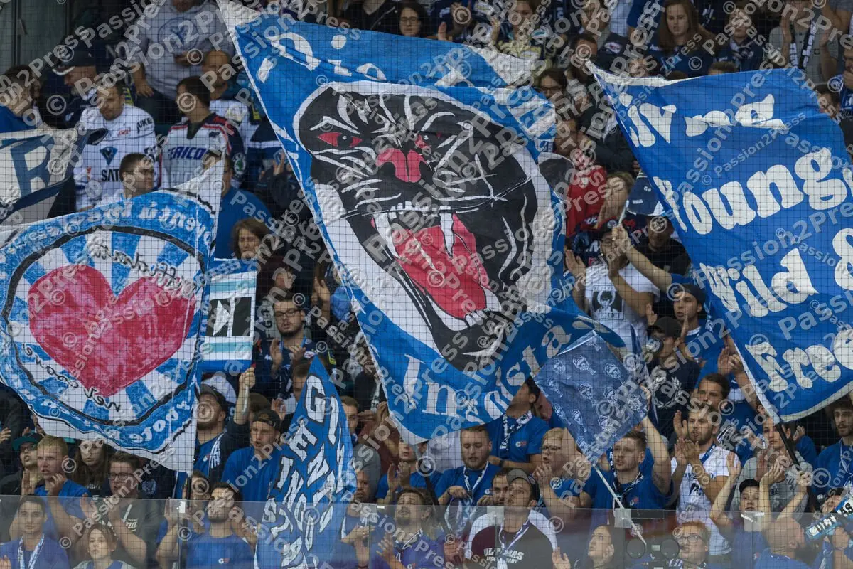 mf_ERCISR_20170908_1853