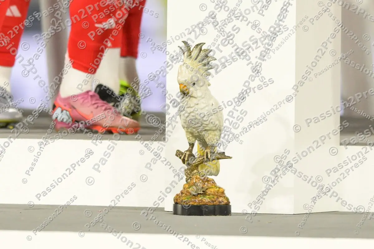 VFBFCB_20250816_2530