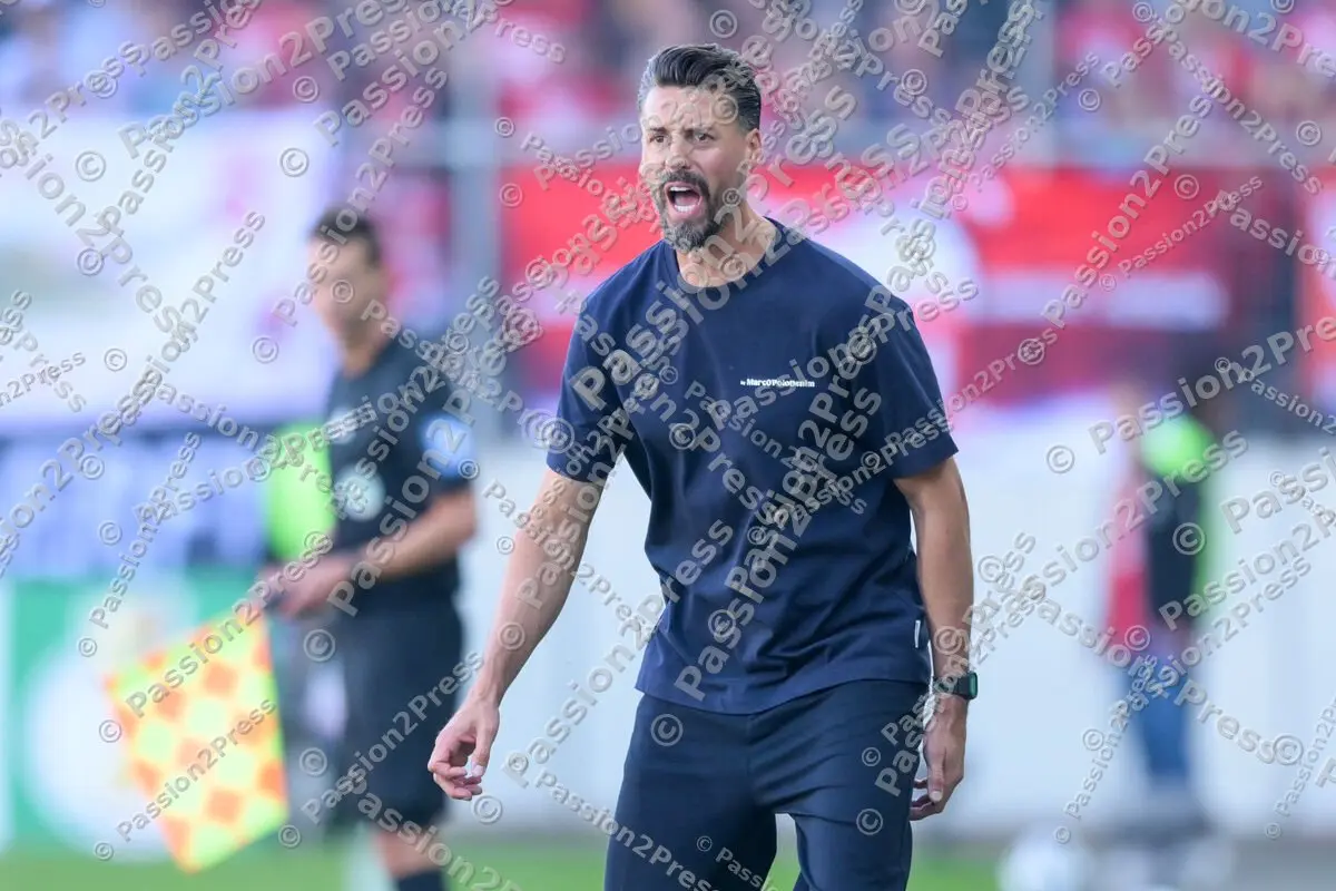 HFCFCA_20250817_0576