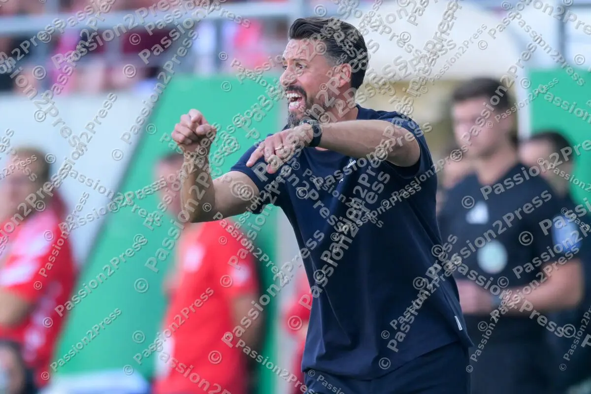 HFCFCA_20250817_1818