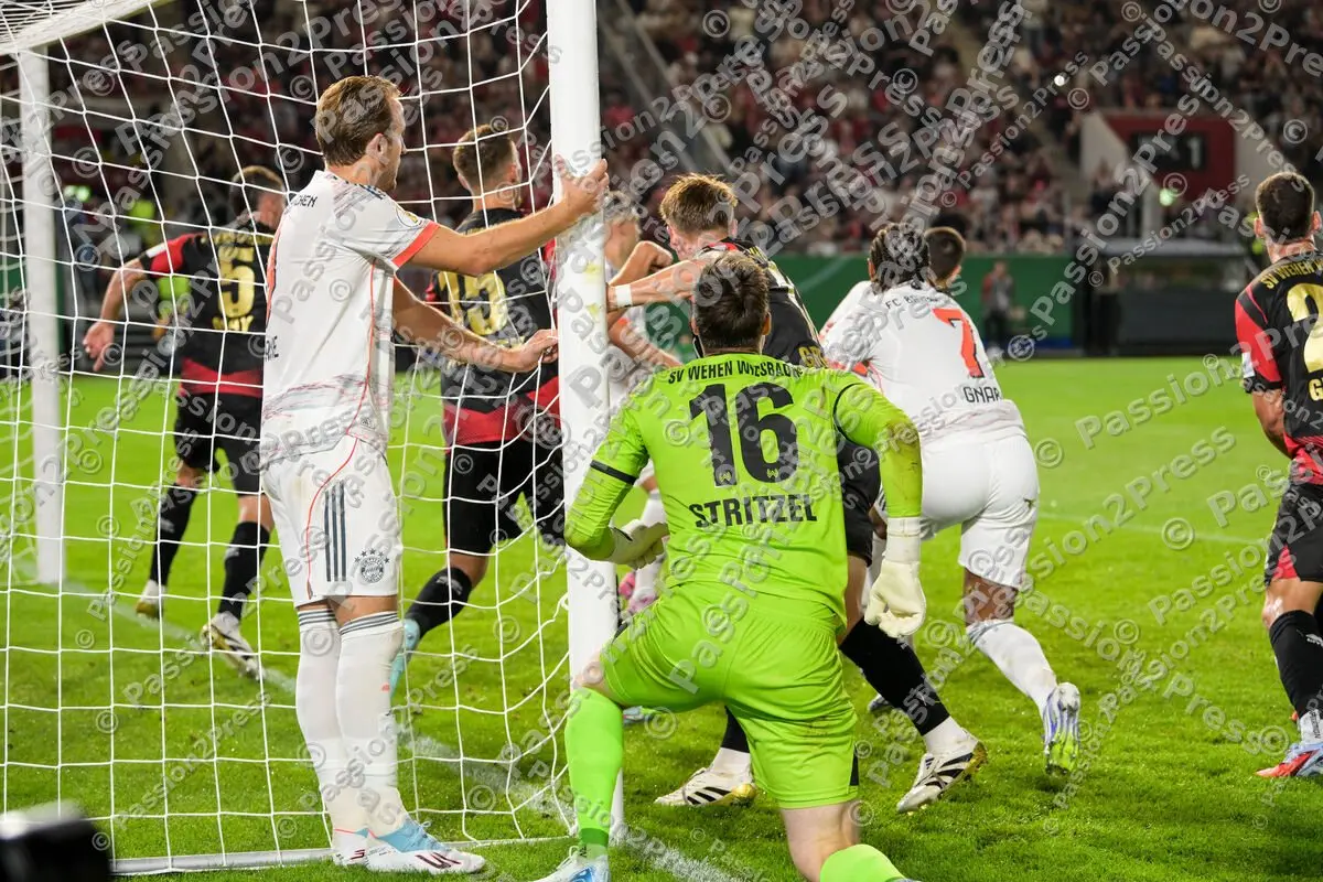 SVWWFCB_20250827_2272