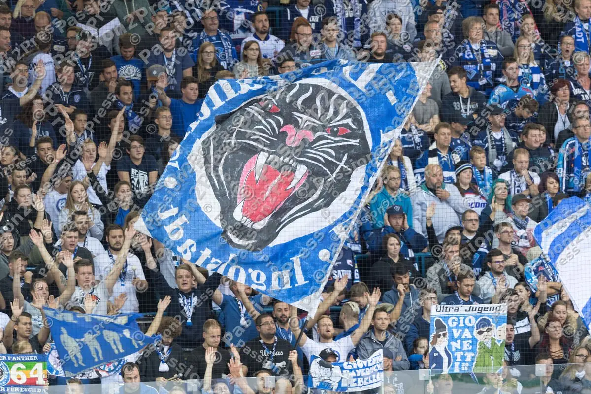 mf_ERCIAEV_20170917_1254