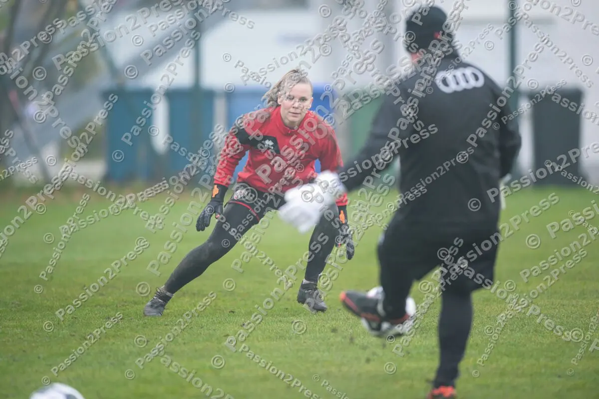 FCIFCBF_20251116_0387