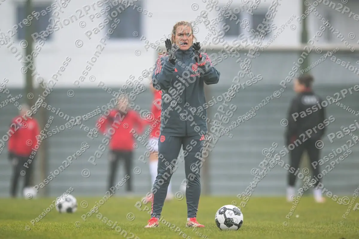 FCIFCBF_20251116_0861