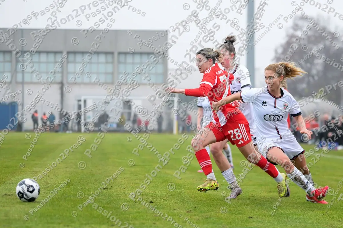 FCIFCBF_20251116_2043