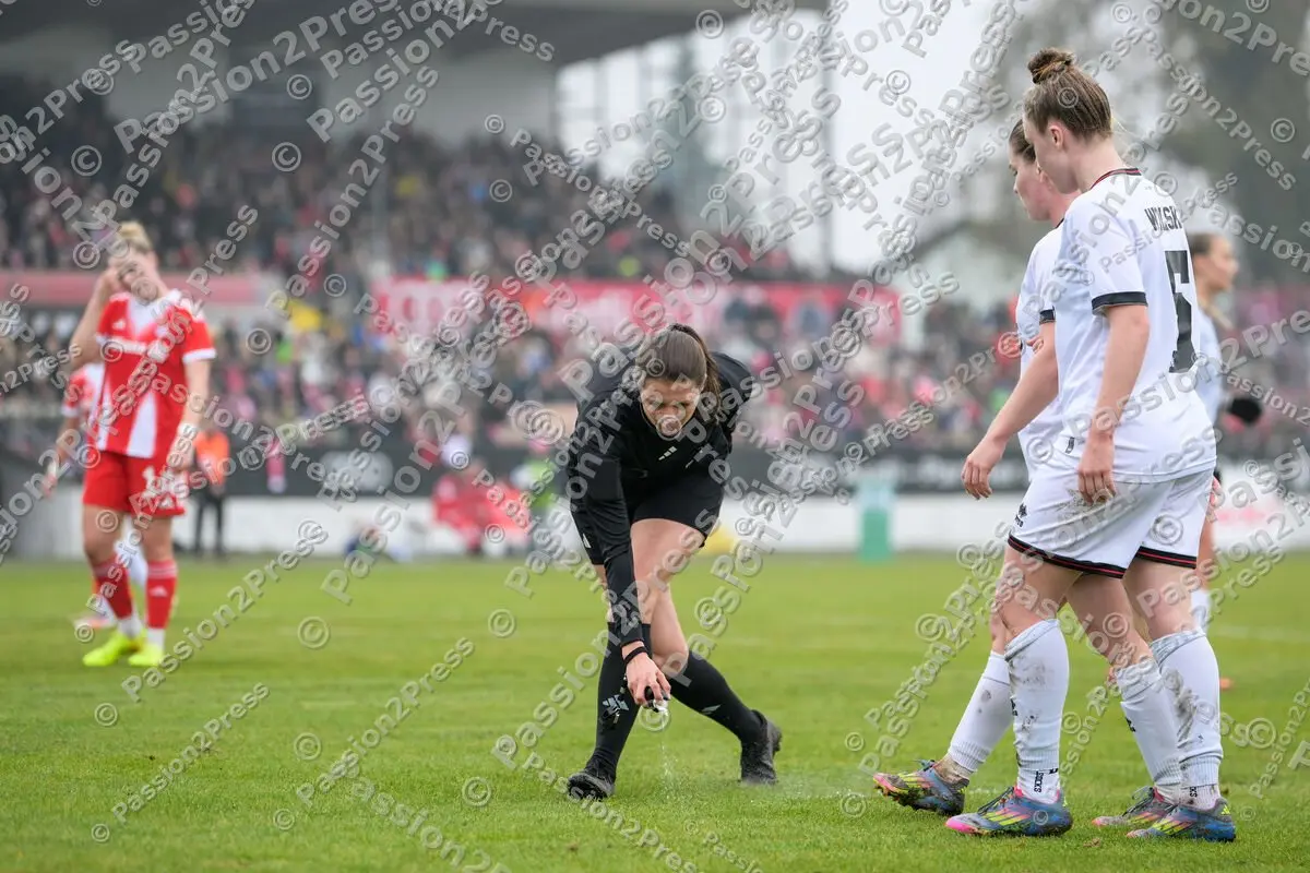 FCIFCBF_20251116_2062