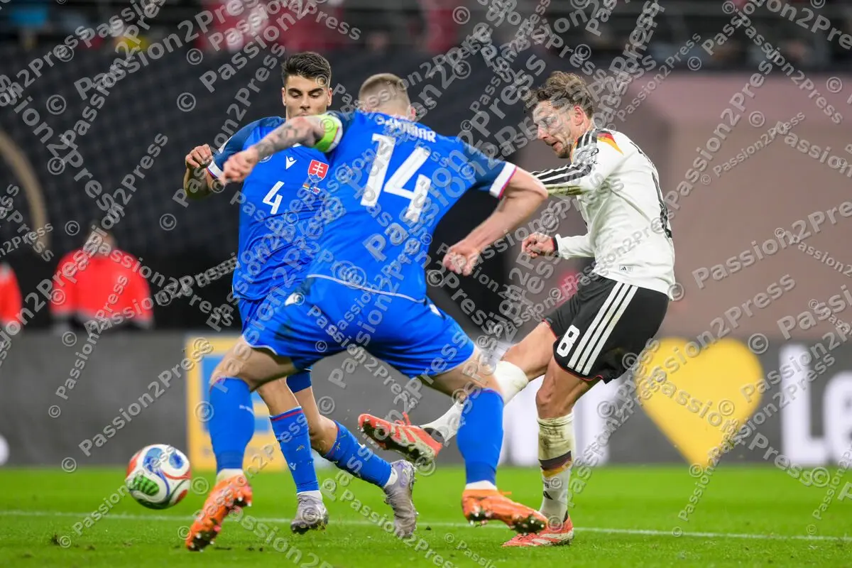 DFBSVK_20251117_3339