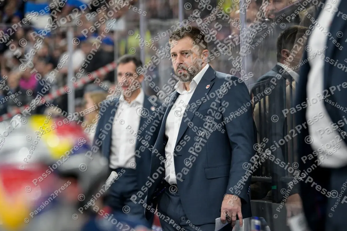 20251125 EHC Red Bull München - Straubing Tigers