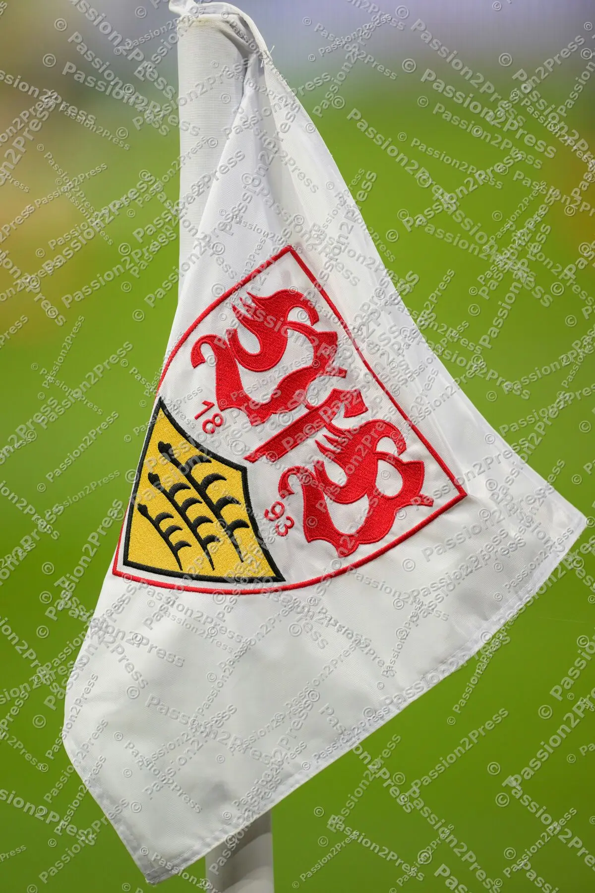 VfBSGE_20260113_0364