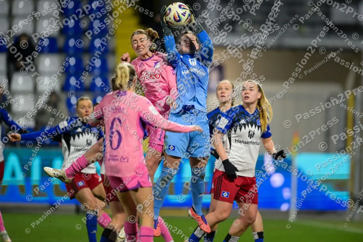 TSGFHSV_20260215_1290