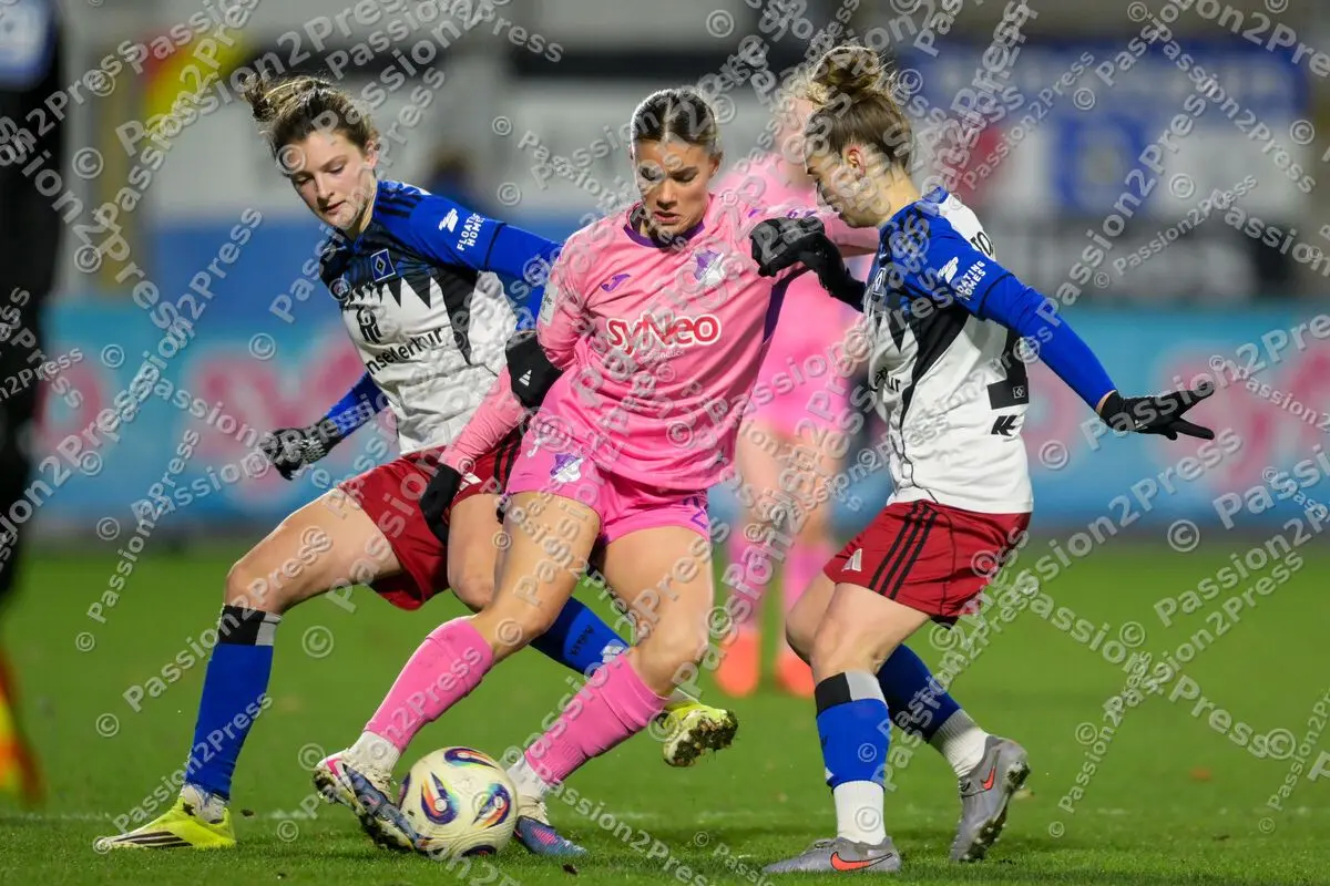 TSGFHSV_20260215_1402