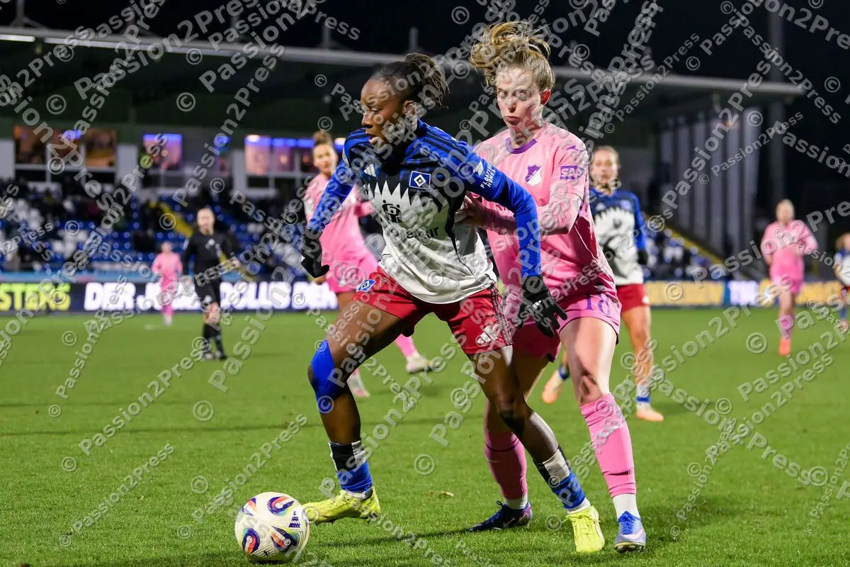 TSGFHSV_20260215_1555