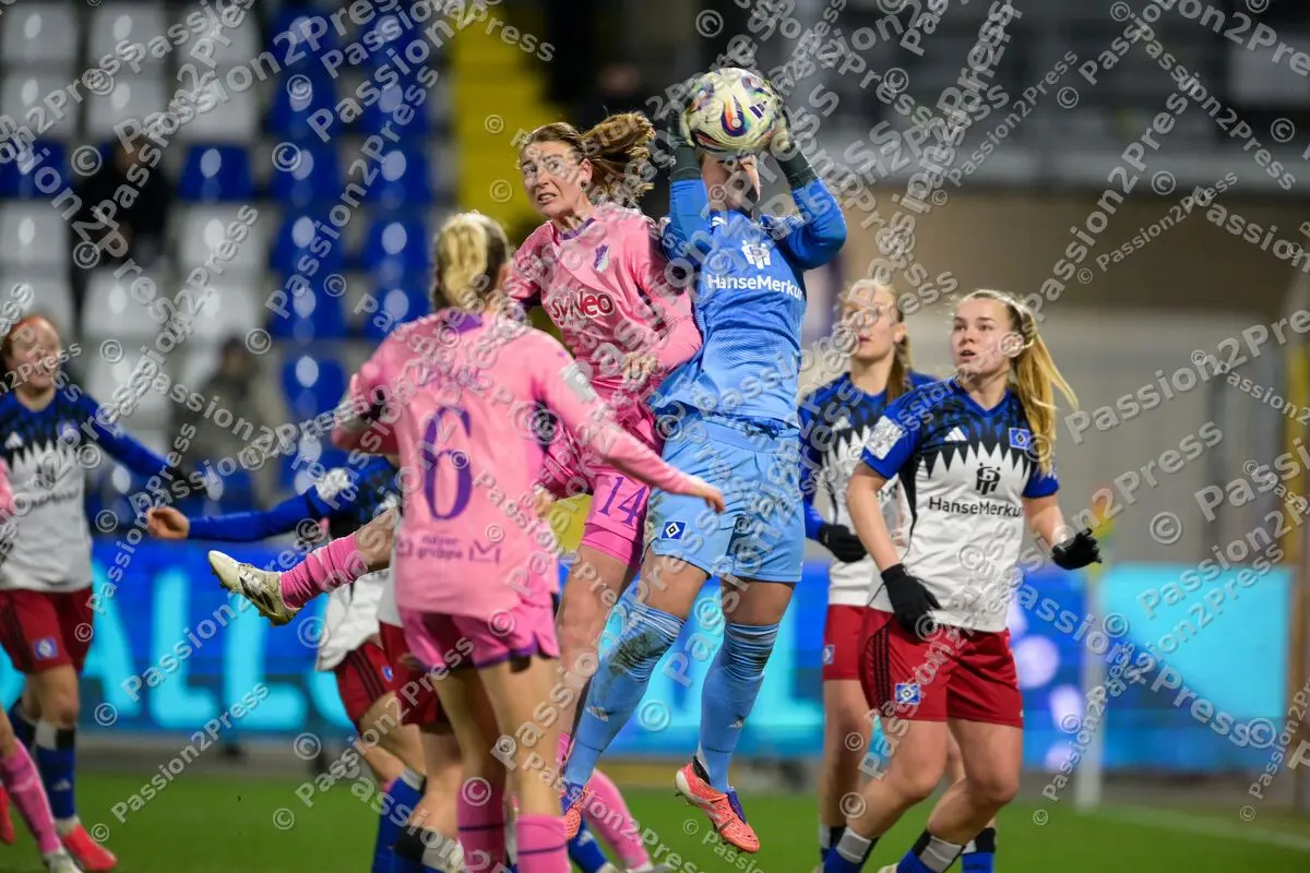 TSGFHSV_20260215_1291