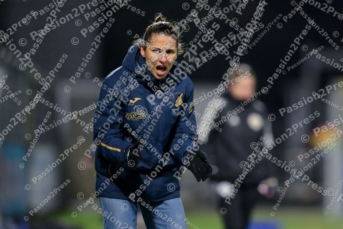 TSGFHSV_20260215_1134