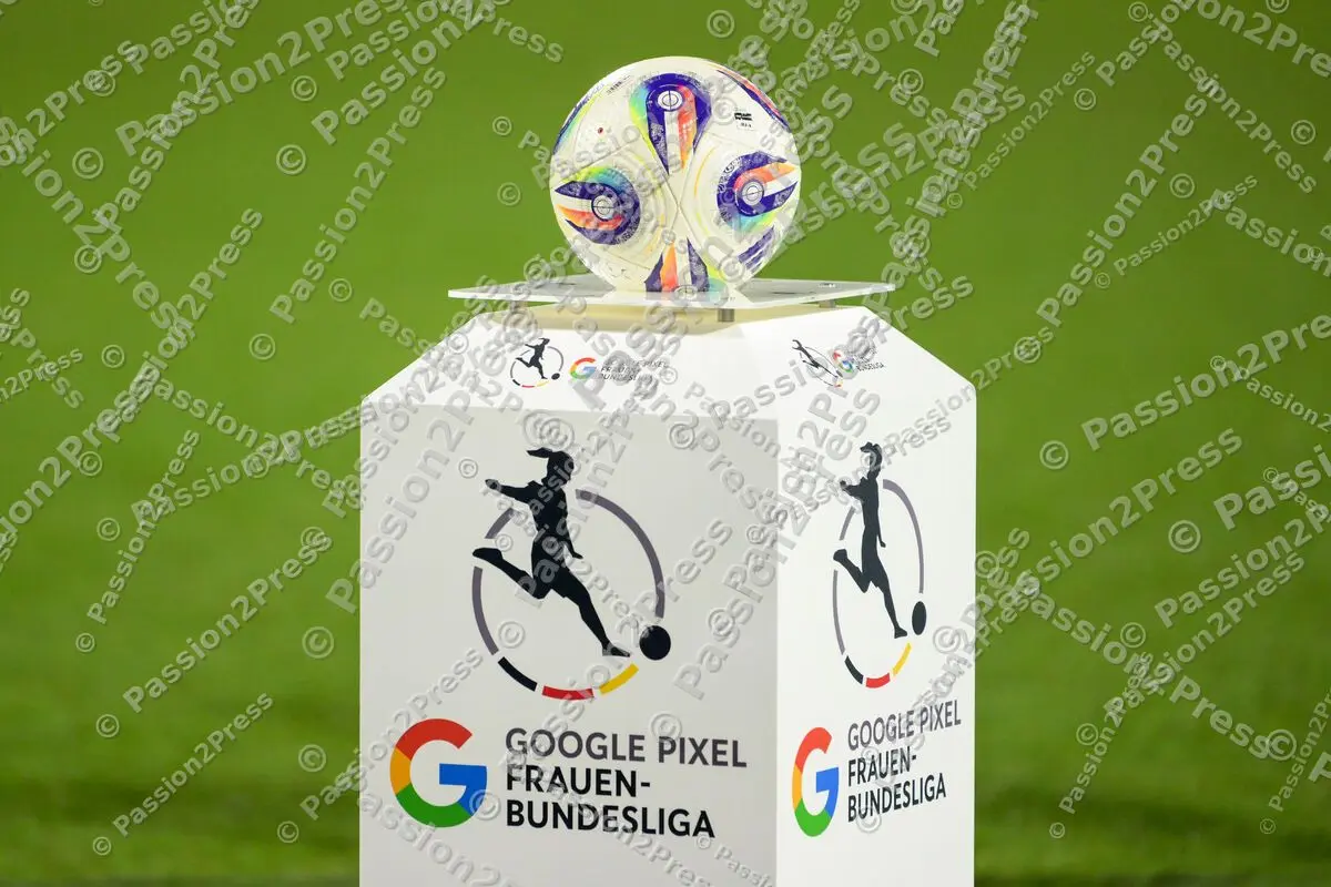 TSGFHSV_20260215_1512